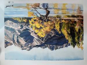 Wonhee Deuart-The Wanaka Tree