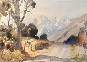 Margaret Rhodes-Horse, South Island 1990