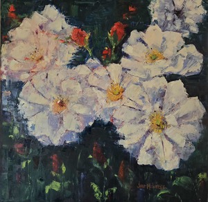 Jane Mcintosh: Jane McIntosh- Penelope Rose.