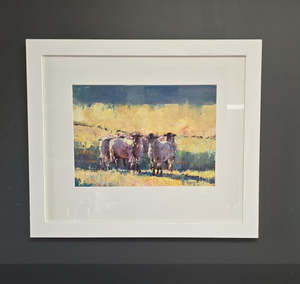 Jane McIntosh-Stud Suffolk Rams. Early Morning.