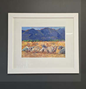 Jane Mcintosh: Jane McIntosh- Charolais Bulls Resting .Early Morning.