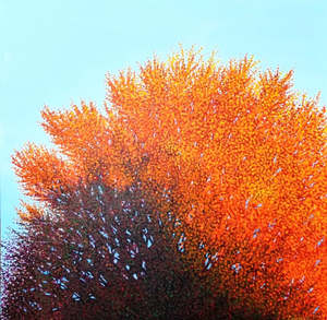 Craig Cornwall: Craig Cornwall-Flame Tree