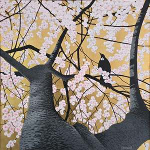 Craig Cornwall: Craig Cornwall-Tui in a Cherry Tree