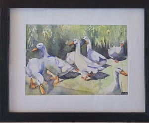 Jane Mcintosh: Jane McIntosh-Feeding Time,Peking Ducks