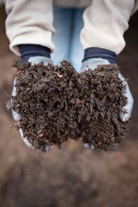 Garden Lawn Soils: Revital Compost - Bulk