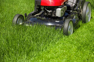 LawnPLUS (LP200)