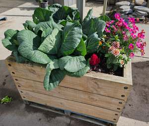 Garden Lawn Soils: Premium Garden Mix
