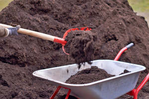 Garden Lawn Soils: Premium Compost