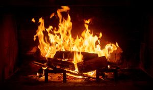 Firewood: Macrocarpa Firewood
