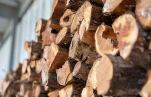 Firewood: Ti-Tree (Manuka) Firewood