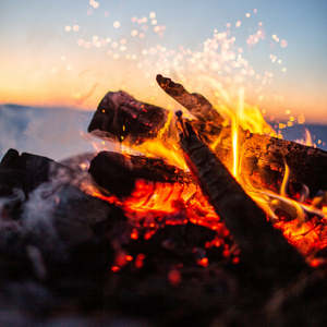 Firewood: ECO Hot Mix Firewood