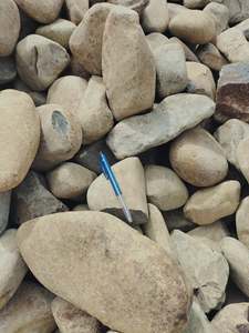 Decorative Pebbles Stones: Mangatangi Gold 80/120