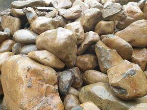 Decorative Pebbles Stones: Mangatangi Gold 120-200mm