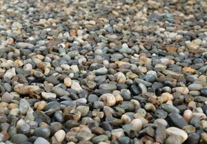 Decorative Pebbles Stones: Uruti Pebble 20-40mm