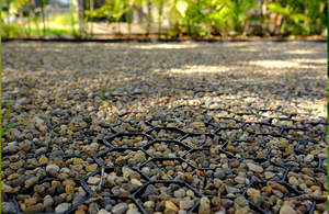 Centrals Ground Stabilisation: Jakmat Geocell Ground Stabilisation Mats