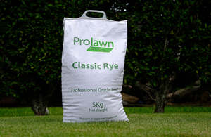 Prolawn Classic Rye Grass Seed