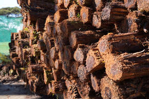 Sleepers Pongas: NZ Ponga Logs