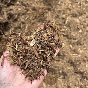 Motu Mulch