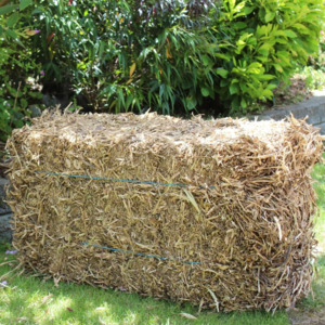 Mulches Barks: Pea Straw Bale
