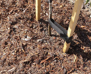Mulches Barks: Mulch Max
