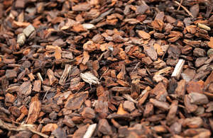 Bark No.4