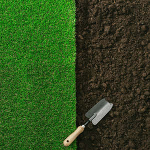 Lawns: Premium Lawn Soil