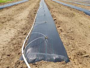 Centrals Ground Stabilisation: Weedmat Woven 3.66m x 50m
