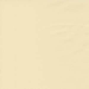 Solids: Bella Solids | Fig Tree Cream 9900 67