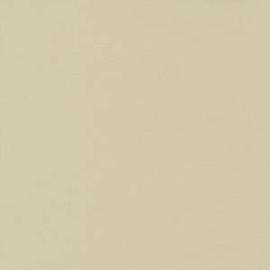 Solids: Bella Solids | Linen 9900 242