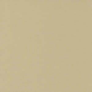 Solids: Bella Solids | Sand 9900 201