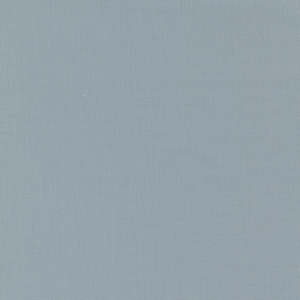 Solids: Bella Solids | Silver 9900 183