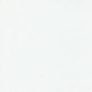 Solids: Bella Solids | Bleached White 9900 98