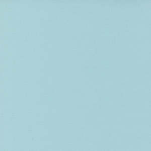 Solids: Bella Solids | Mist 9900 37