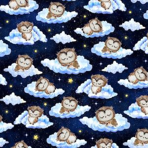 Owl Always Love You | Sleeping Owls | Navy CD3295
