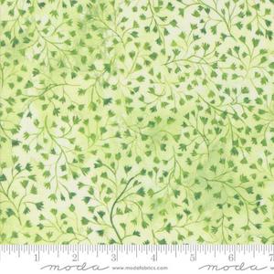 Sunshine & Blue Skies | Fine Fellow Fern | Spring Green 39830 12