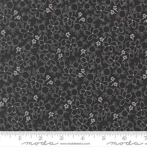 Arabesque | Wonder | Midnight 33835 17