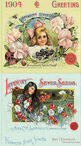 Sewing Seeds III | 60cm Pillow Panel | 24920 101