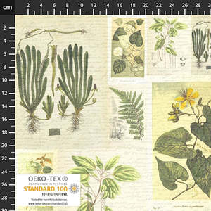 Green: Herbarium | Plants Leaves Blocks | Green/White 4502-824