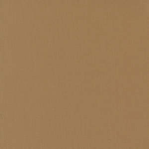 Quilting: Bella Solids | Paper Bag 9900 40