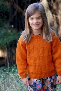 Ginger Sweater 12ply | Lisa F Design LF60