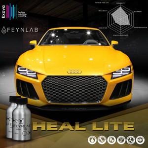 Pro Detailers: Heal Lite