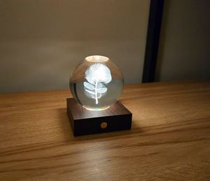 Pohutakawa 3D Laser Engraved LED Light