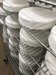 Products: Summit Snow (Whole Wheel) – Remutaka Pass Creamery (Featherston, NZ)