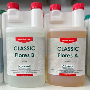 Canna: CANNA Classic Flores