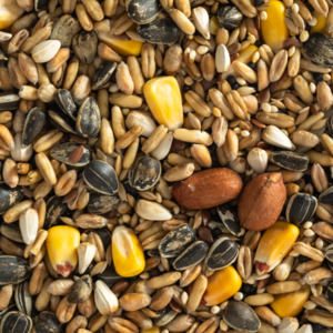Parrot Mix