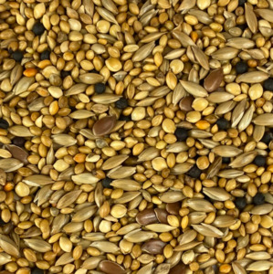 Finch Mix
