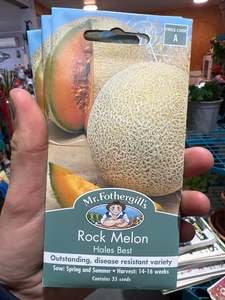 Rock Melon