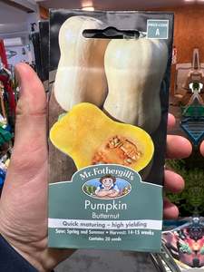 Seeds Clearance: Pumpkin