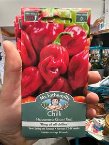 Seeds Clearance: Chilli