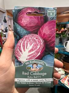 Red Cabbage